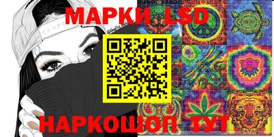 гашик Нальчик