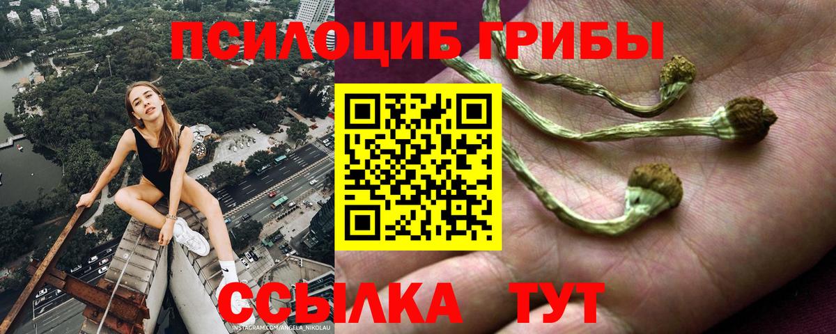 Галлюциногенные грибы мухоморы  Вход с VPN  Псилоцибиновые грибы Psilocybine cubensis  Тавда 